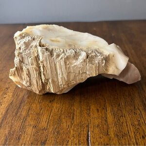 petrified wood 10.7 oz. Very collectible